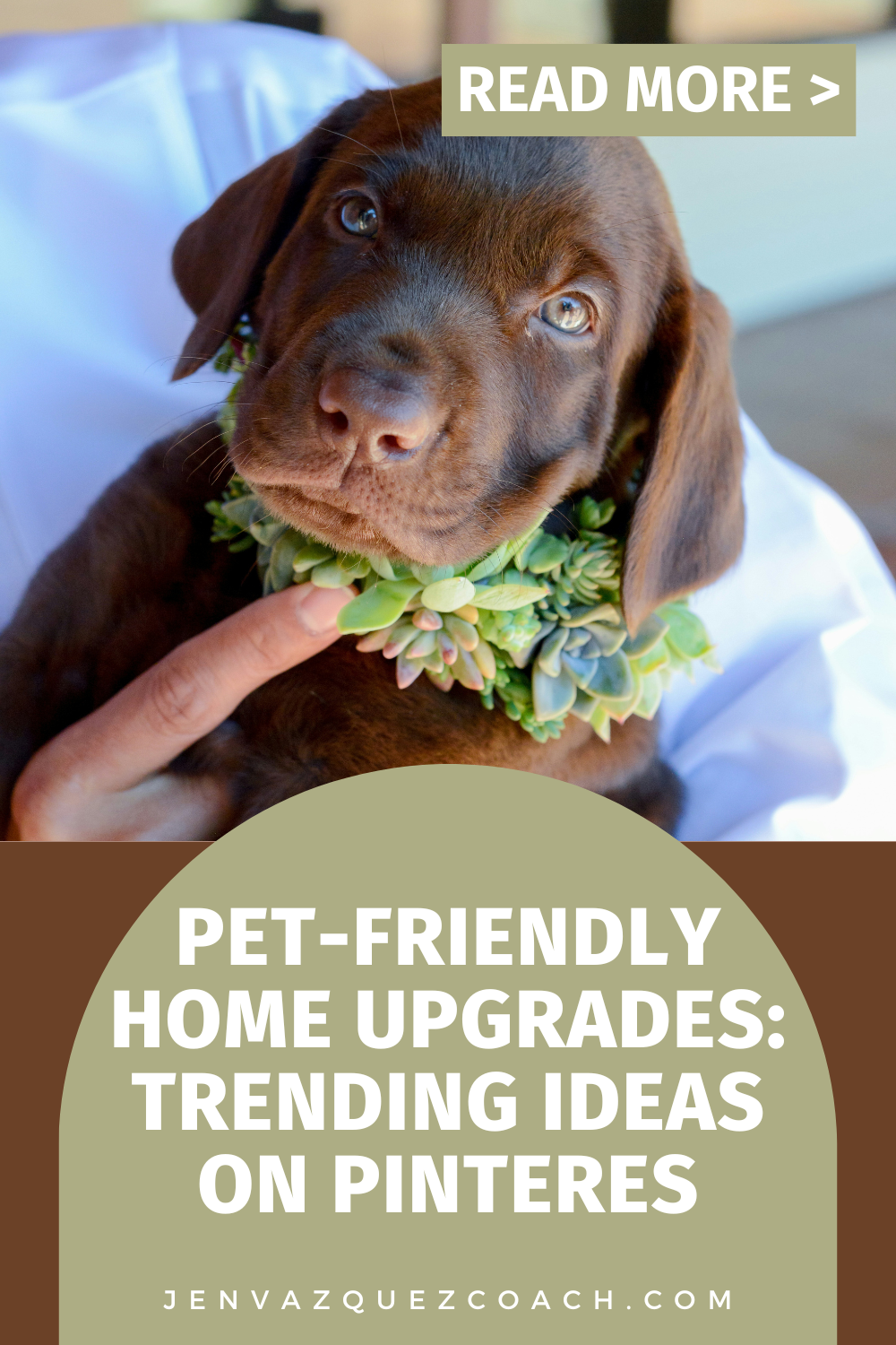 Pet-Friendly Home Upgrades_ Trending Ideas on Pinteres by Jen Vazquez Media Pinterest Manager and Strategist for Service Providers